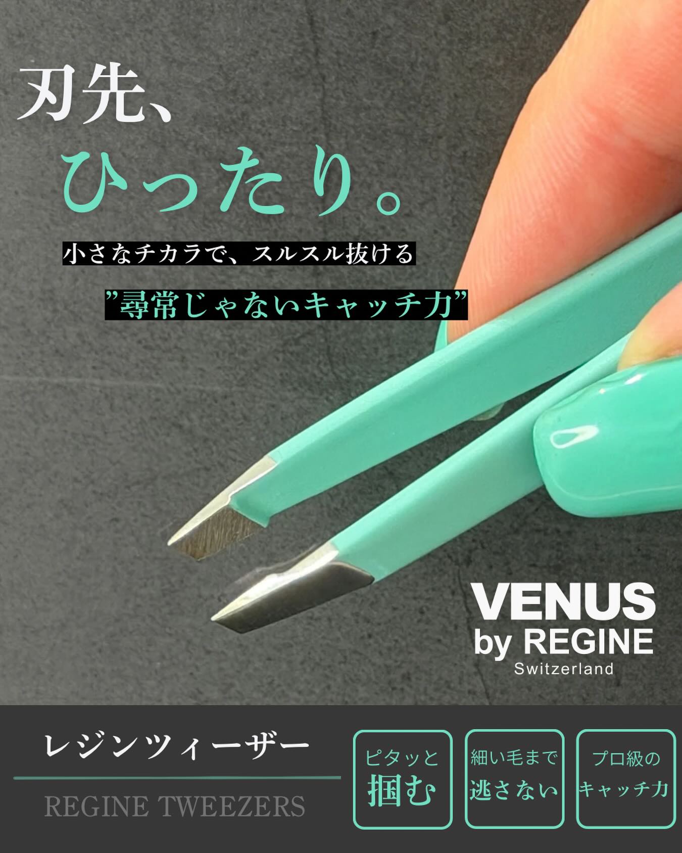 NEWS画像